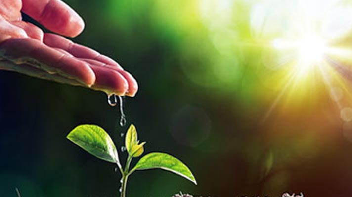 62626ecd9edc0 62626ecd9edc0