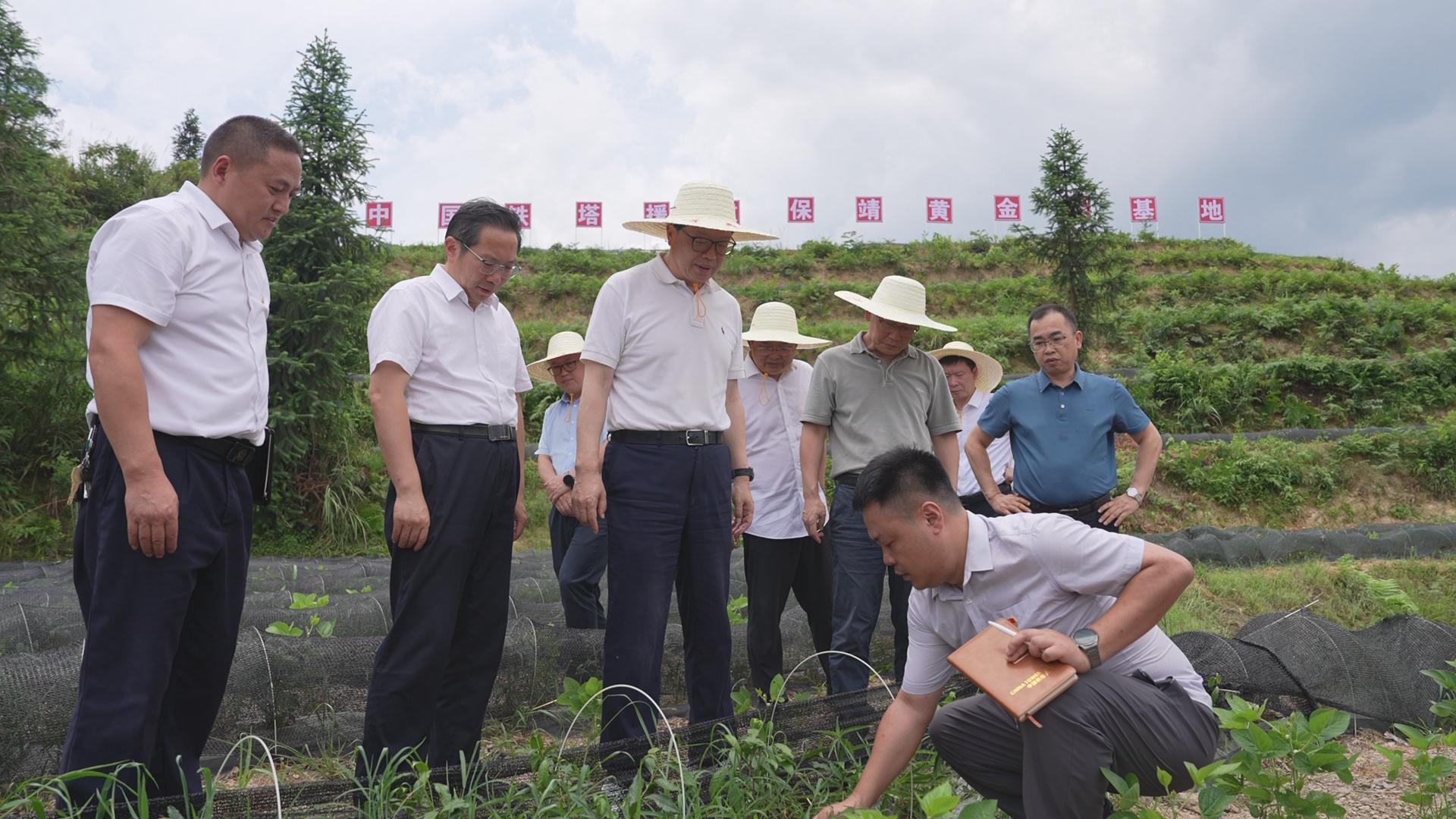 pg����ģ����(�й���)�ٷ���վ