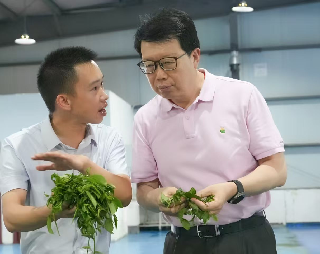 pg����ģ����(�й���)�ٷ���վ