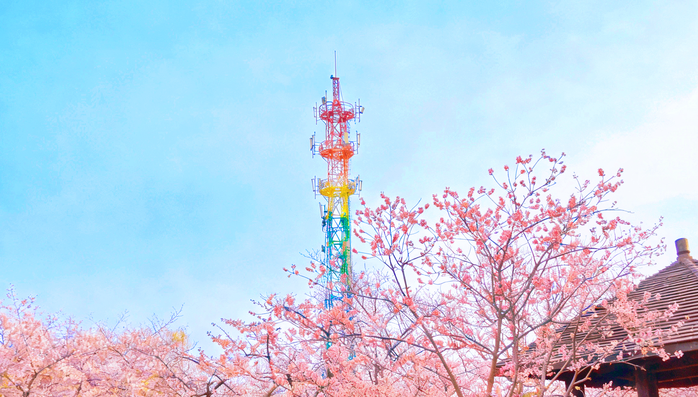 pg����ģ����(�й���)�ٷ���վ